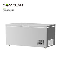 Display-Factory Direct Wholesale -80 ℃ Single-Temperature Ultra-Low Temperature Laboratory Chest Freezers Direct Digital