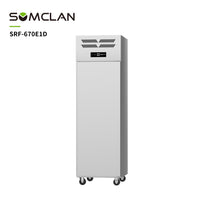 Factory Wholesale Commercial Beer and Beverage Display Freezer -18 To -5 ℃ Storage Refrigerator